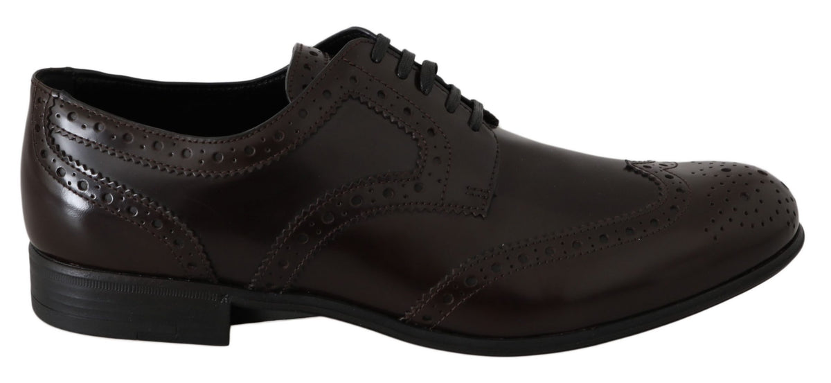 Dolce & Gabbana bruine leren brogues Oxford wingtip-schoenen