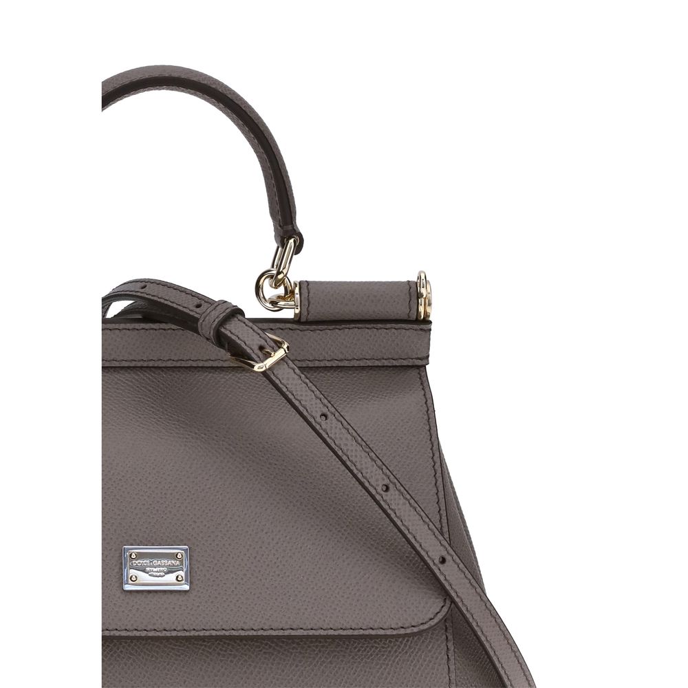 Dolce & Gabbana Gray Calf Leather Bos Taurus Handbag