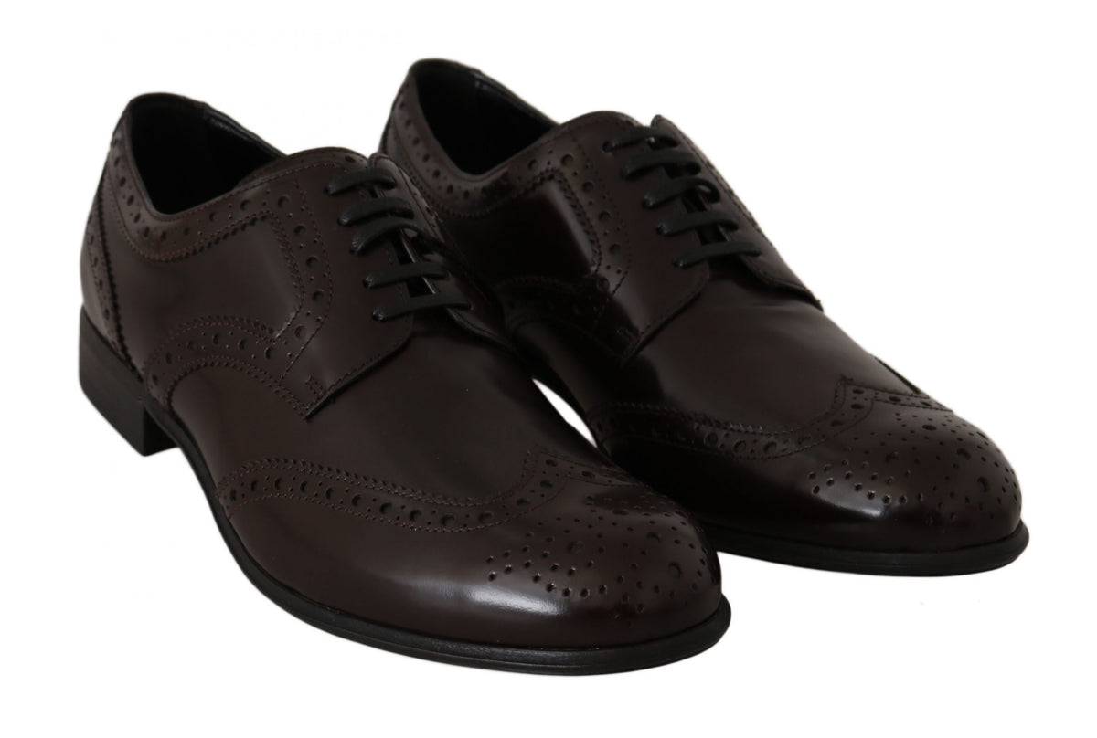 Dolce & Gabbana bruine leren brogues Oxford wingtip-schoenen