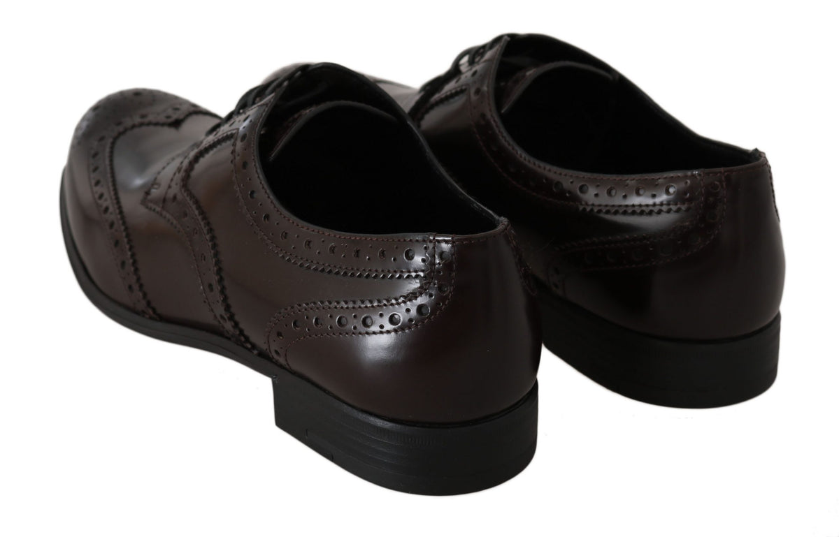 Dolce & Gabbana bruine leren brogues Oxford wingtip-schoenen