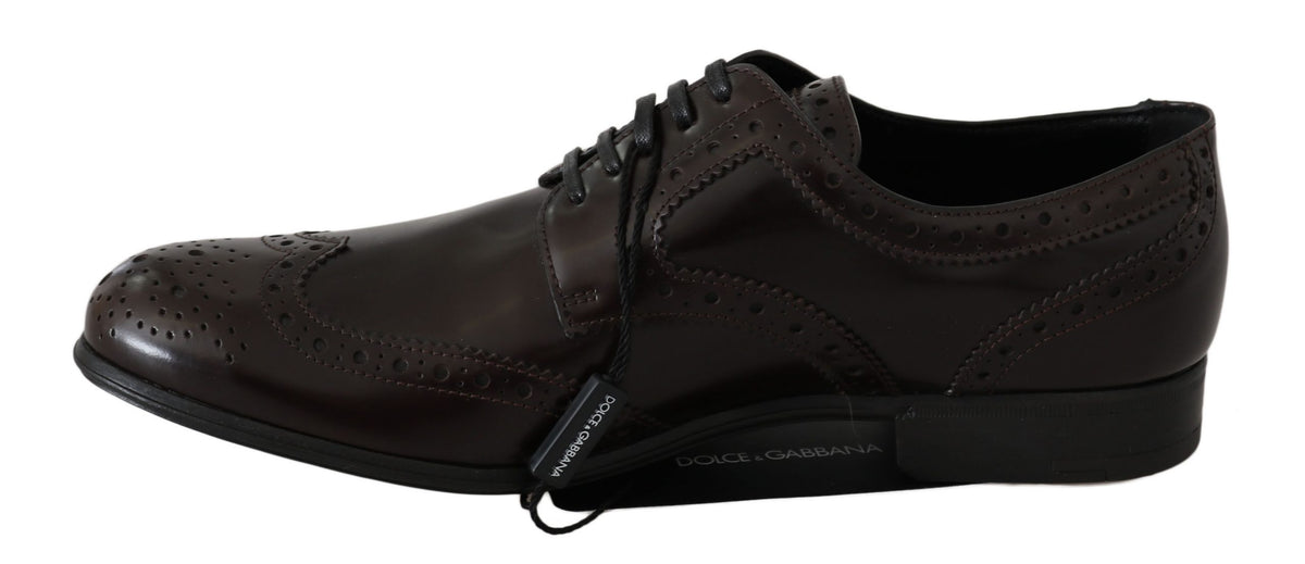 Dolce & Gabbana bruine leren brogues Oxford wingtip-schoenen