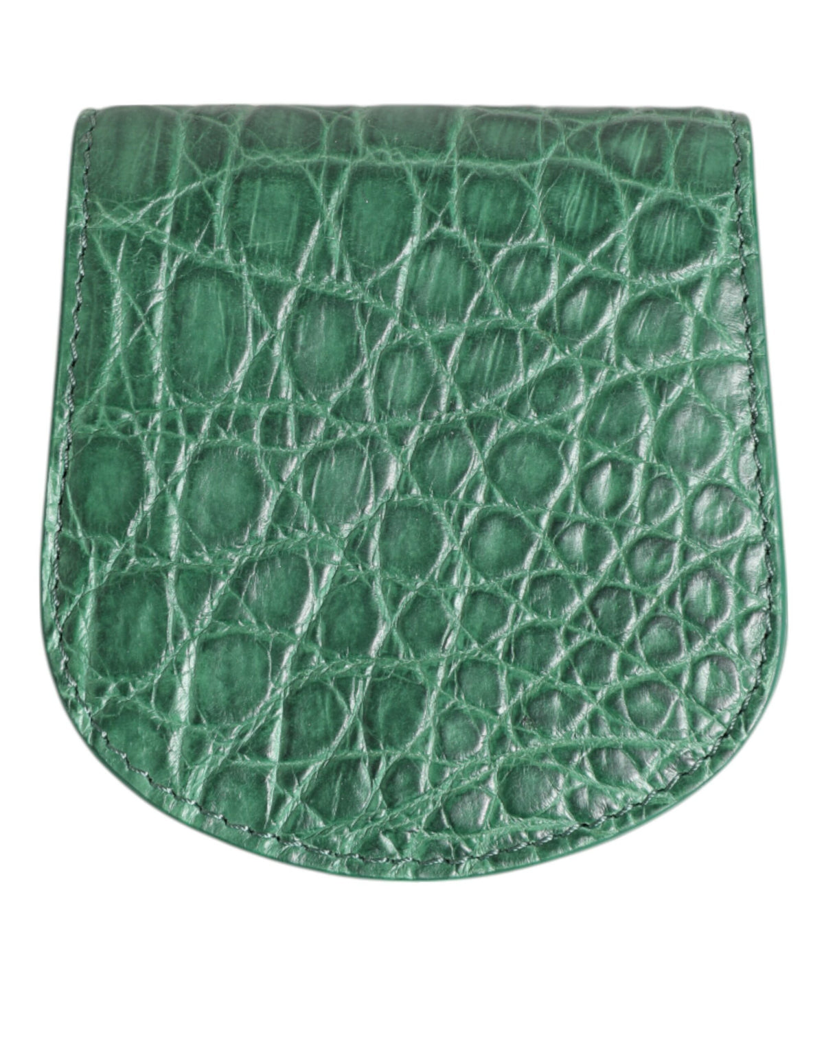 Dolce & Gabbana Groen Exotisch Huiden Munten Condoom Etui Houder Portemonnee